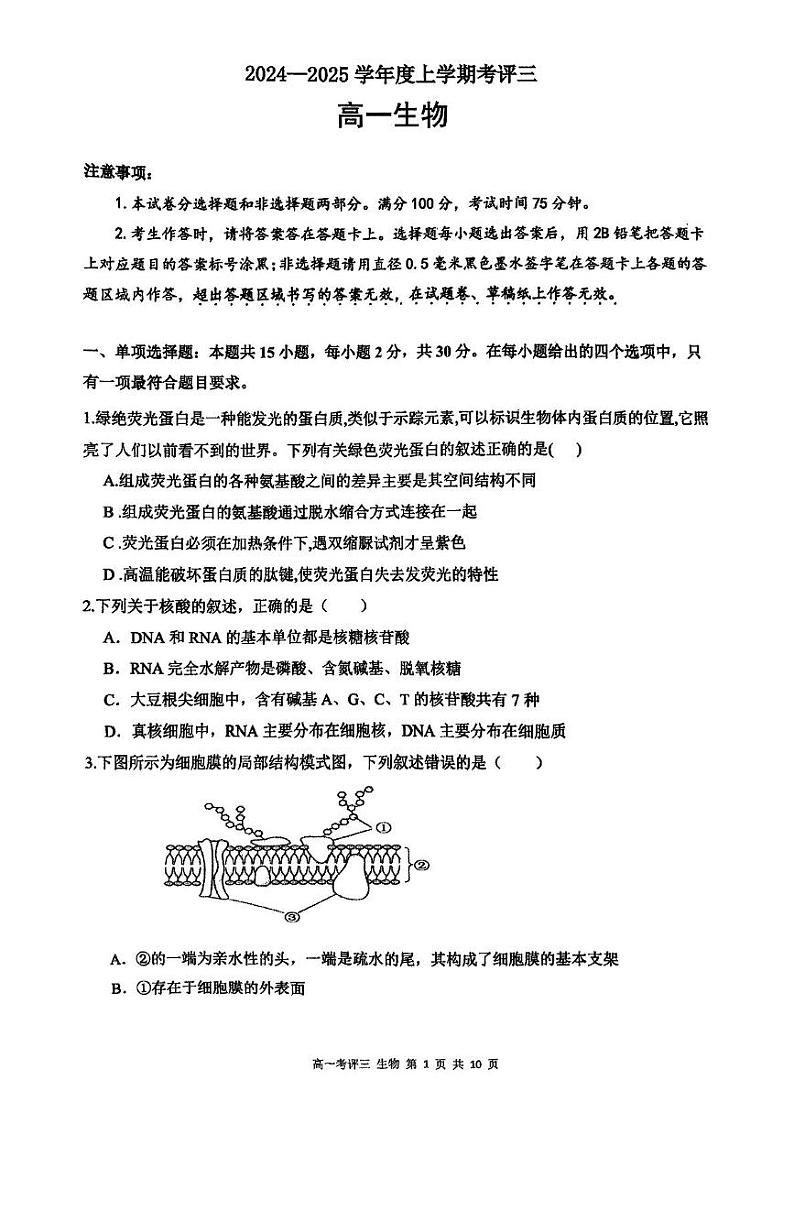 2025保定高一上学期12月考评三生物PDF版含解析第1页