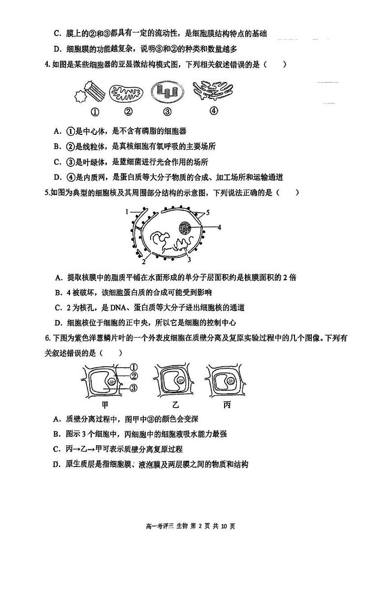 2025保定高一上学期12月考评三生物PDF版含解析第2页