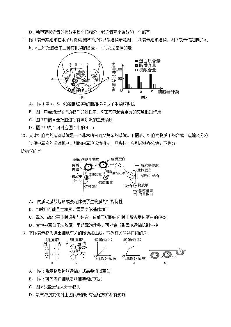 安徽师范大学附属中学2024-2025学年高一上学期12月月考生物试卷第3页