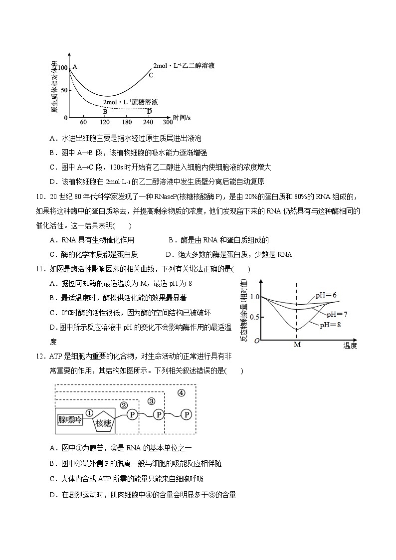 山东省滕州市第一中学2024-2025学年高一上学期12月单元检测生物试卷第3页