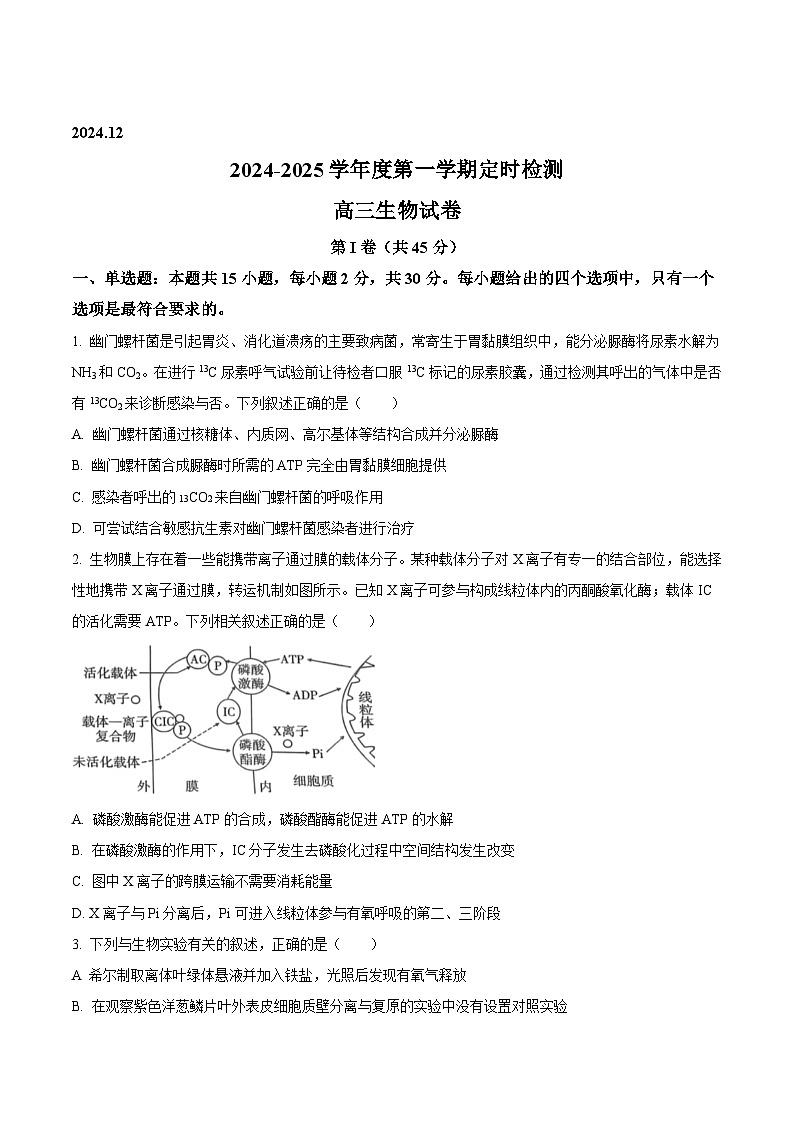 山东省滕州市第一中学2025届高三上学期12月定时检测生物试题（Word版附答案）第1页