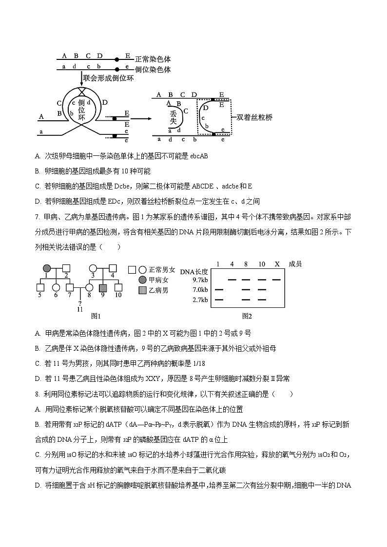 山东省滕州市第一中学2025届高三上学期12月定时检测生物试题（Word版附答案）第3页