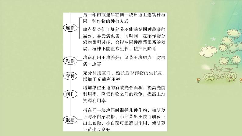 2025届高考生物二轮专题复习与测试板块二植物生理学命题最前沿五提高农作物产量课件第3页