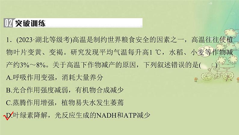 2025届高考生物二轮专题复习与测试板块二植物生理学命题最前沿五提高农作物产量课件第4页