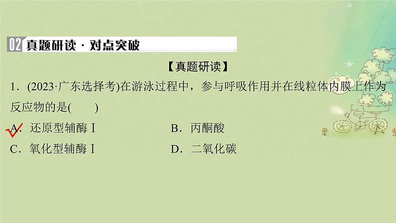 2025届高考生物二轮专题复习与测试板块二植物生理学专题四细胞呼吸与光合作用课件第8页