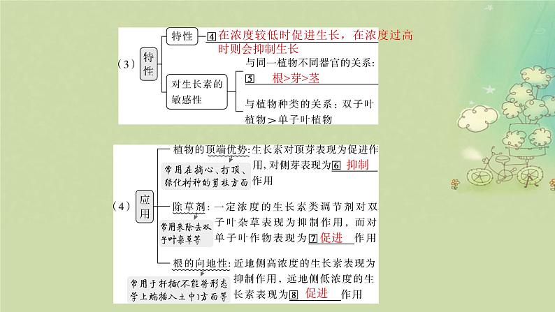 2025届高考生物二轮专题复习与测试板块二植物生理学专题五植物生命活动的调节课件第6页