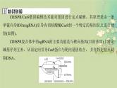 2025届高考生物二轮专题复习与测试板块六生物技术与工程命题最前沿十二基因编辑技术及其应用课件