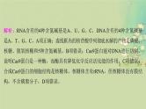 2025届高考生物二轮专题复习与测试板块六生物技术与工程命题最前沿十二基因编辑技术及其应用课件