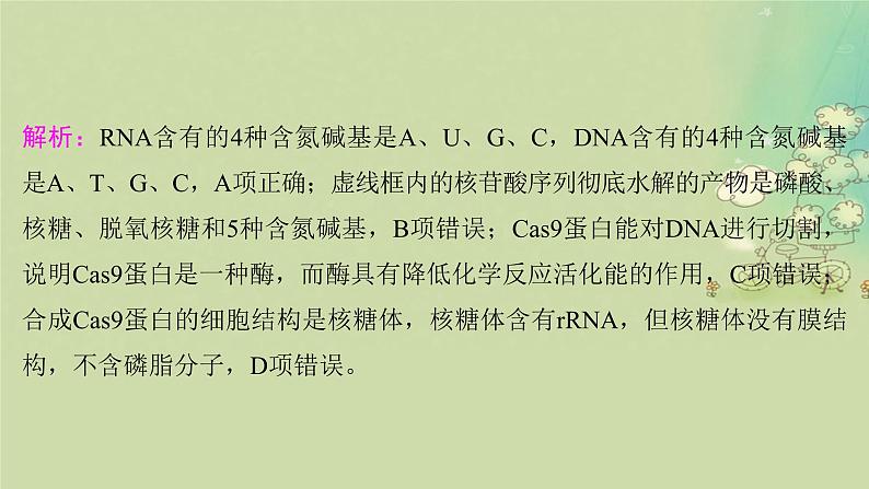 2025届高考生物二轮专题复习与测试板块六生物技术与工程命题最前沿十二基因编辑技术及其应用课件第5页