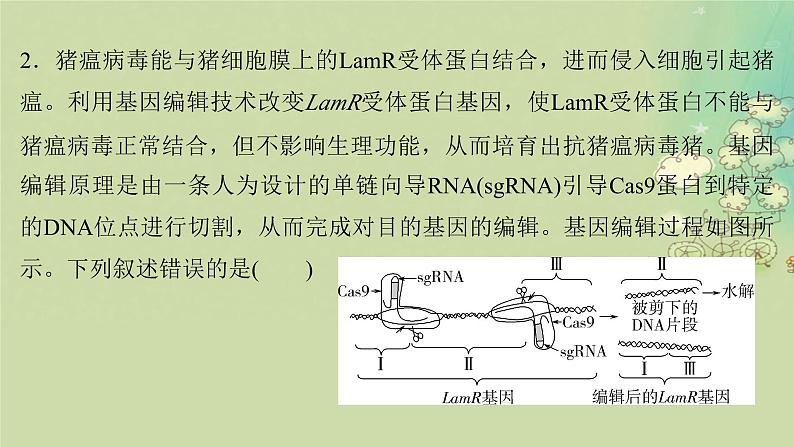 2025届高考生物二轮专题复习与测试板块六生物技术与工程命题最前沿十二基因编辑技术及其应用课件第6页