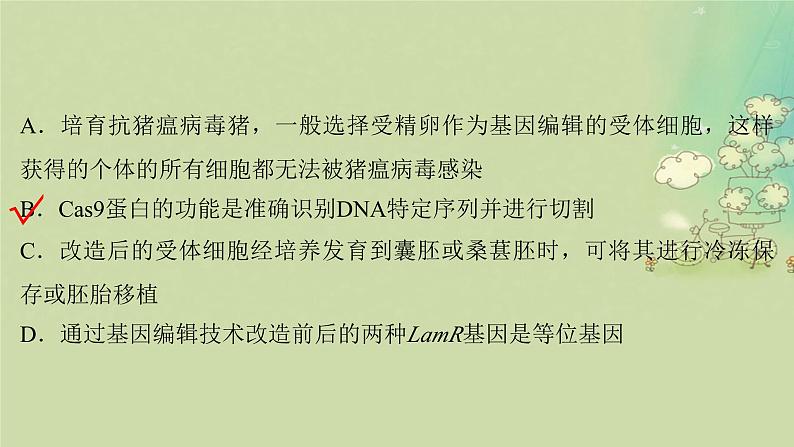 2025届高考生物二轮专题复习与测试板块六生物技术与工程命题最前沿十二基因编辑技术及其应用课件第7页