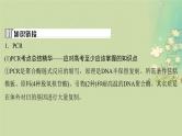 2025届高考生物二轮专题复习与测试板块六生物技术与工程命题最前沿十三PCR与电泳的原理及应用课件