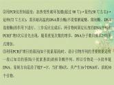 2025届高考生物二轮专题复习与测试板块六生物技术与工程命题最前沿十三PCR与电泳的原理及应用课件