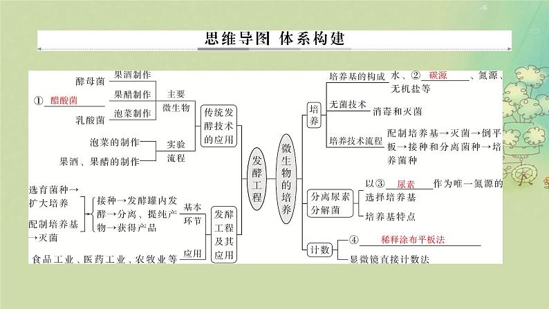 2025届高考生物二轮专题复习与测试板块六生物技术与工程专题十三发酵工程课件第2页