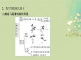 2025届高考生物二轮专题复习与测试板块六生物技术与工程专题十三发酵工程课件