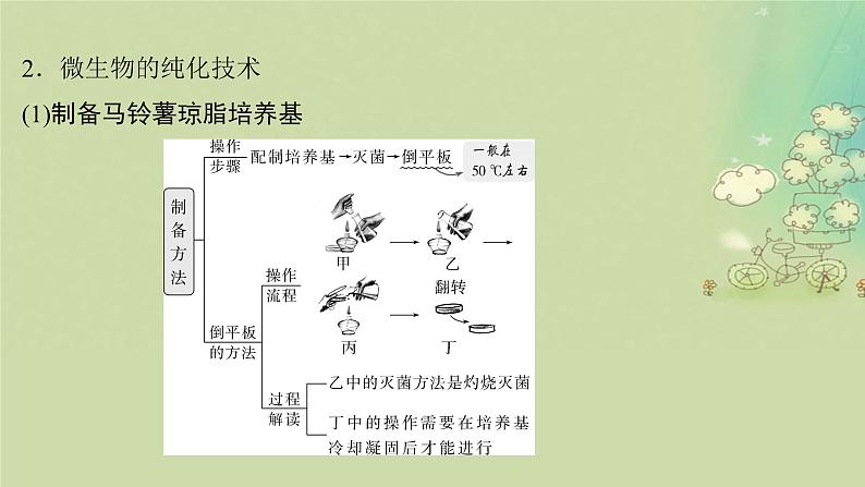 2025届高考生物二轮专题复习与测试板块六生物技术与工程专题十三发酵工程课件第5页