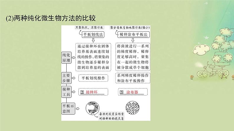 2025届高考生物二轮专题复习与测试板块六生物技术与工程专题十三发酵工程课件第6页