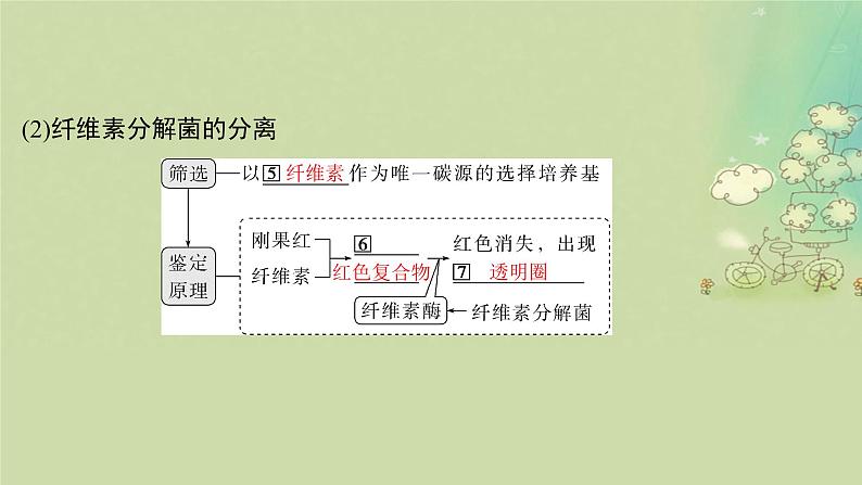 2025届高考生物二轮专题复习与测试板块六生物技术与工程专题十三发酵工程课件第8页