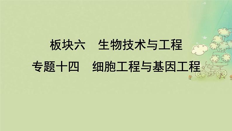 2025届高考生物二轮专题复习与测试板块六生物技术与工程专题十四细胞工程与基因工程课件第1页