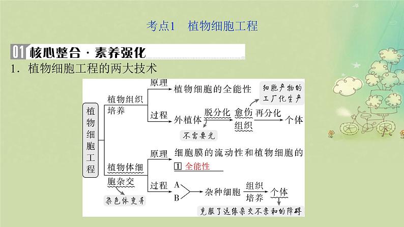 2025届高考生物二轮专题复习与测试板块六生物技术与工程专题十四细胞工程与基因工程课件第4页