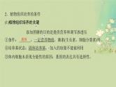 2025届高考生物二轮专题复习与测试板块六生物技术与工程专题十四细胞工程与基因工程课件
