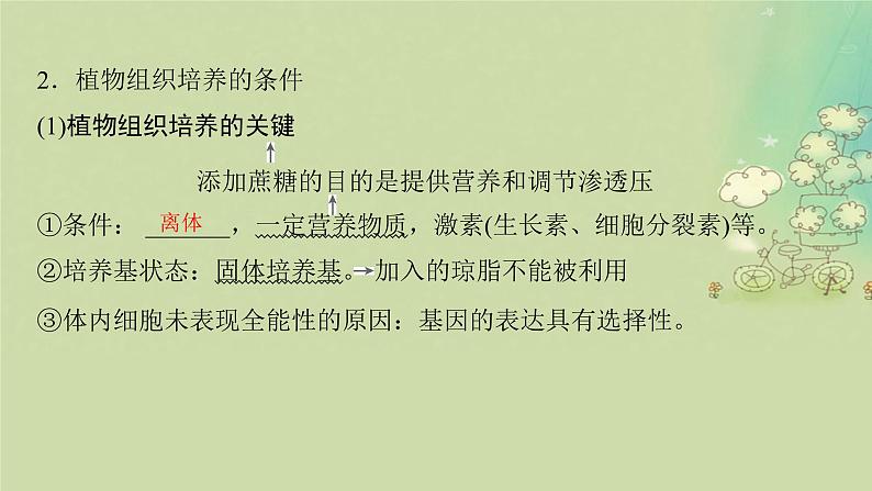 2025届高考生物二轮专题复习与测试板块六生物技术与工程专题十四细胞工程与基因工程课件第5页