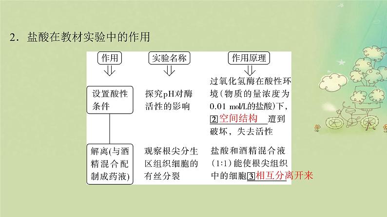 2025届高考生物二轮专题复习与测试板块七实验专题十五实验与探究课件第5页