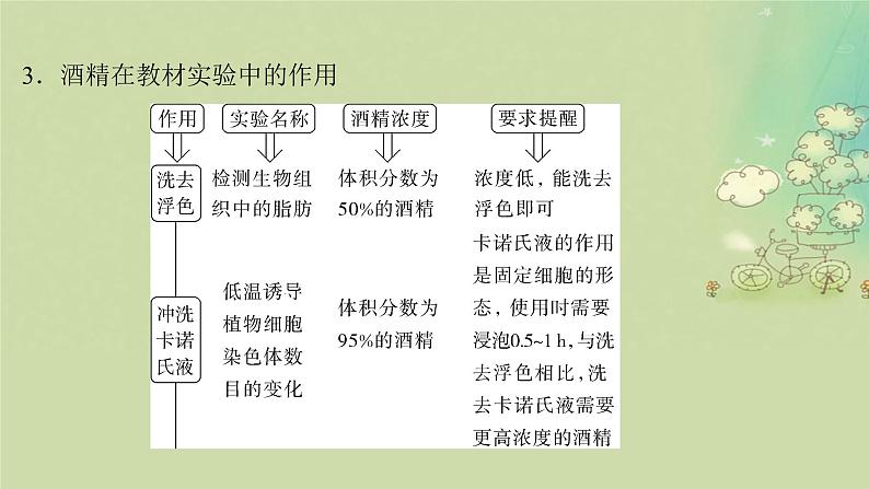 2025届高考生物二轮专题复习与测试板块七实验专题十五实验与探究课件第6页