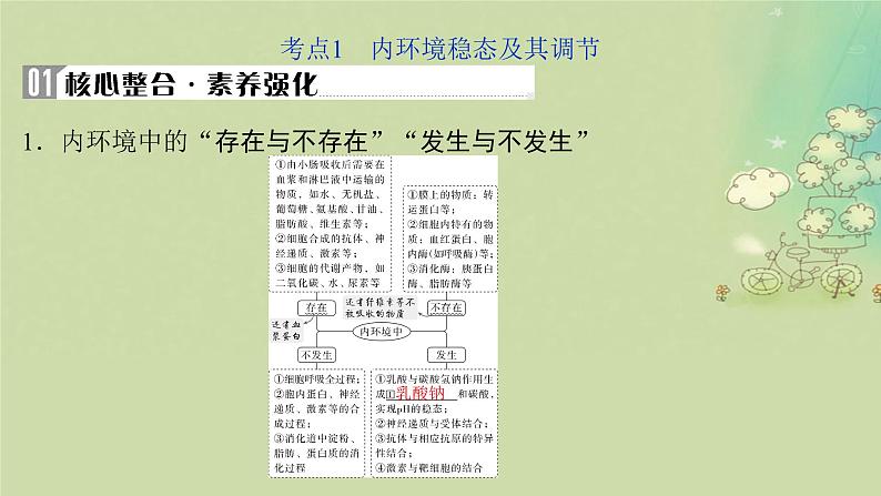 2025届高考生物二轮专题复习与测试板块三动物生理学专题六内环境稳态与免疫调节课件第4页