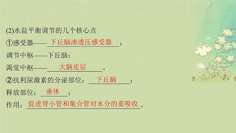 2025届高考生物二轮专题复习与测试板块三动物生理学专题六内环境稳态与免疫调节课件第6页