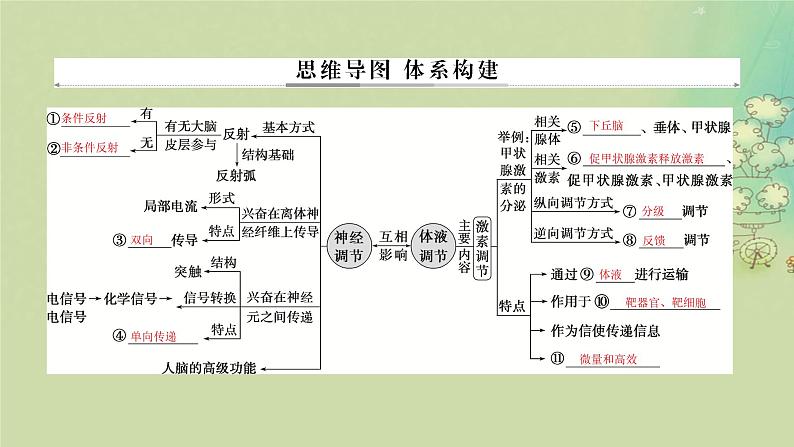 2025届高考生物二轮专题复习与测试板块三动物生理学专题七神经调节与体液调节课件第2页