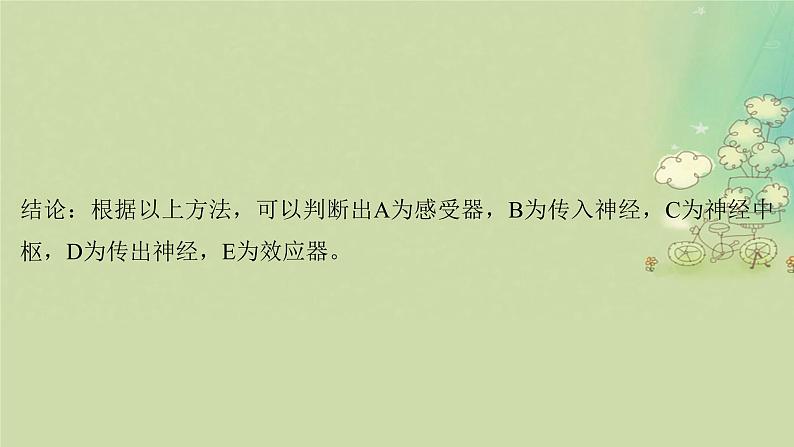 2025届高考生物二轮专题复习与测试板块三动物生理学专题七神经调节与体液调节课件第5页