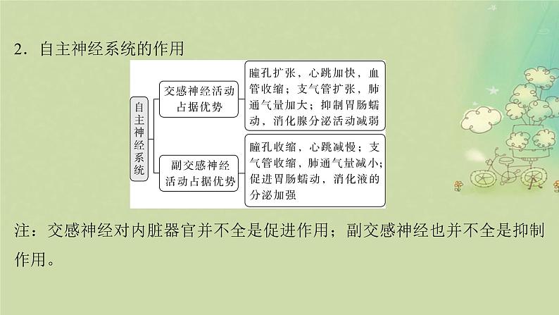 2025届高考生物二轮专题复习与测试板块三动物生理学专题七神经调节与体液调节课件第6页