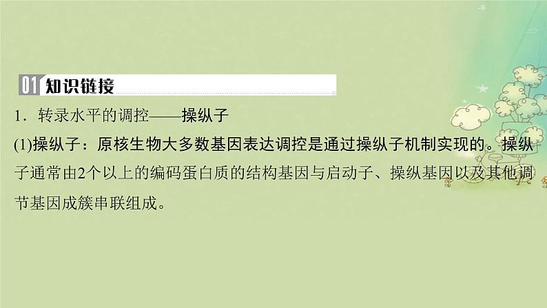 2025届高考生物二轮专题复习与测试板块四遗传学与进化论命题最前沿八基因表达的调控操纵子RNAi分子伴侣等课件第2页