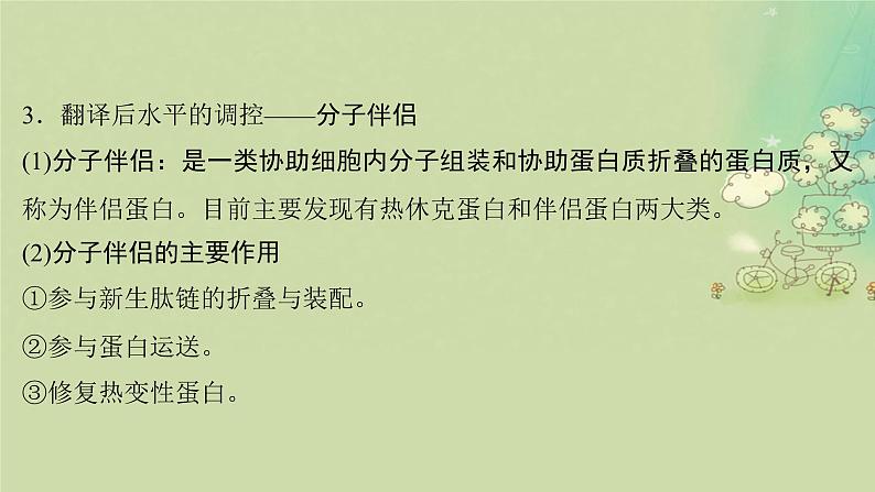 2025届高考生物二轮专题复习与测试板块四遗传学与进化论命题最前沿八基因表达的调控操纵子RNAi分子伴侣等课件第7页