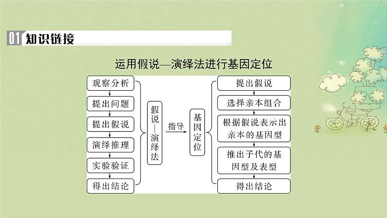 2025届高考生物二轮专题复习与测试板块四遗传学与进化论命题最前沿九基因定位课件第2页