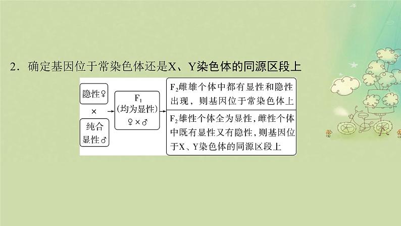 2025届高考生物二轮专题复习与测试板块四遗传学与进化论命题最前沿九基因定位课件第5页