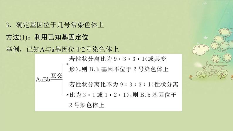 2025届高考生物二轮专题复习与测试板块四遗传学与进化论命题最前沿九基因定位课件第6页