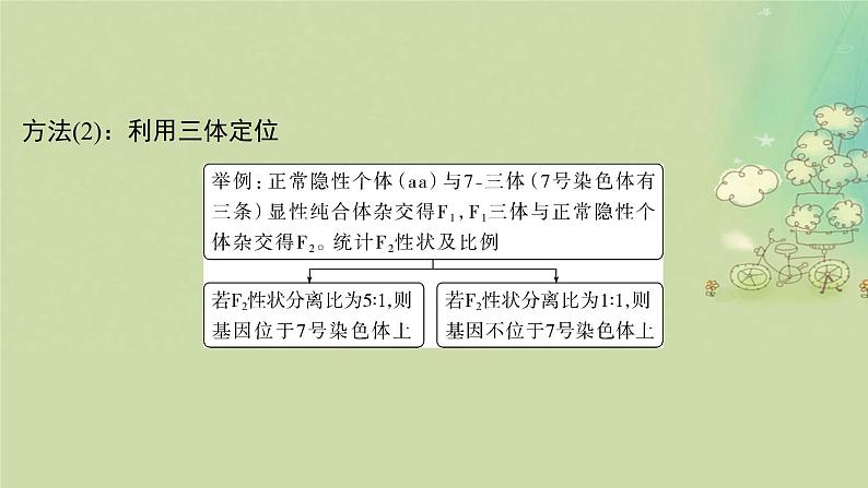 2025届高考生物二轮专题复习与测试板块四遗传学与进化论命题最前沿九基因定位课件第7页