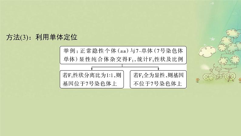 2025届高考生物二轮专题复习与测试板块四遗传学与进化论命题最前沿九基因定位课件第8页