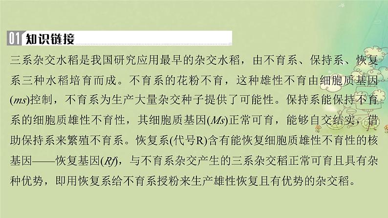 2025届高考生物二轮专题复习与测试板块四遗传学与进化论命题最前沿十雄性不育及三系法杂交水稻课件第2页