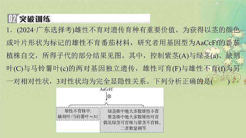 2025届高考生物二轮专题复习与测试板块四遗传学与进化论命题最前沿十雄性不育及三系法杂交水稻课件第4页