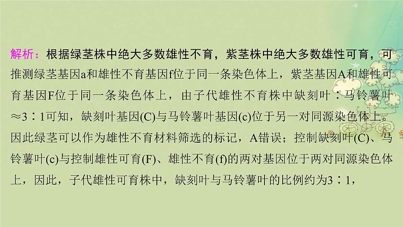 2025届高考生物二轮专题复习与测试板块四遗传学与进化论命题最前沿十雄性不育及三系法杂交水稻课件第6页