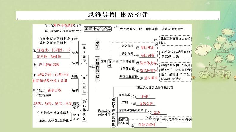 2025届高考生物二轮专题复习与测试板块四遗传学与进化论专题十变异和进化课件第2页