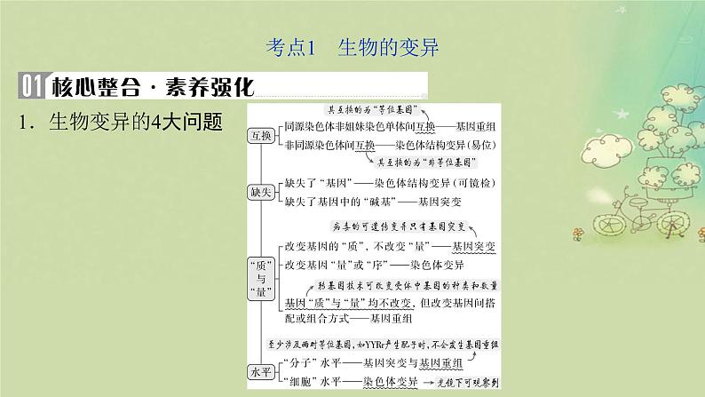 2025届高考生物二轮专题复习与测试板块四遗传学与进化论专题十变异和进化课件第4页