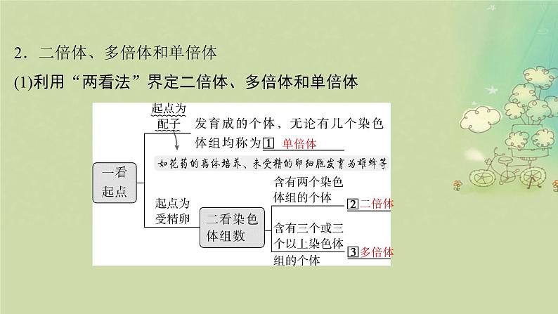 2025届高考生物二轮专题复习与测试板块四遗传学与进化论专题十变异和进化课件第5页