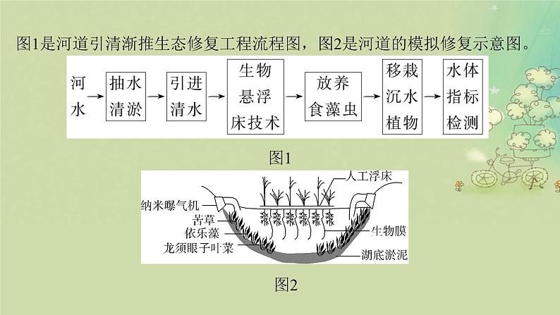 2025届高考生物二轮专题复习与测试板块五生物与环境命题最前沿十一碳达峰和碳中和生态浮床和水污染治理课件第6页