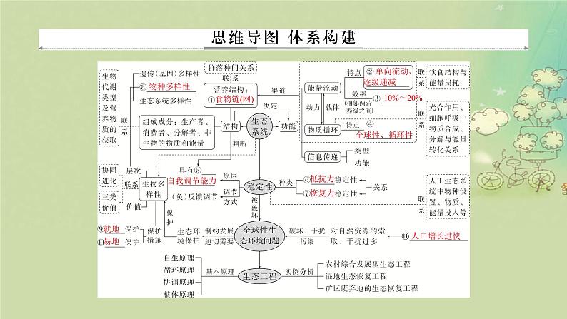 2025届高考生物二轮专题复习与测试板块五生物与环境专题十二生态系统和生态环境的保护课件第2页