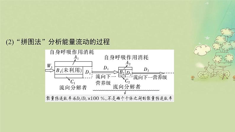 2025届高考生物二轮专题复习与测试板块五生物与环境专题十二生态系统和生态环境的保护课件第6页