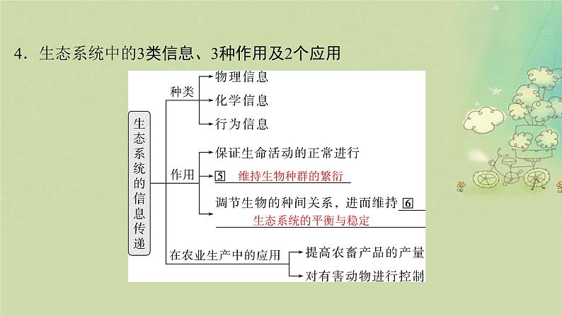 2025届高考生物二轮专题复习与测试板块五生物与环境专题十二生态系统和生态环境的保护课件第8页